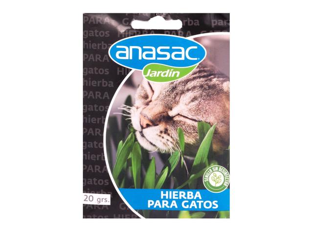 Semillas 20 gr Hierba para gato Anasac