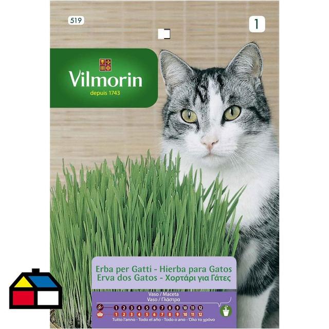 Semilla hierba para gato 20 gr sachet