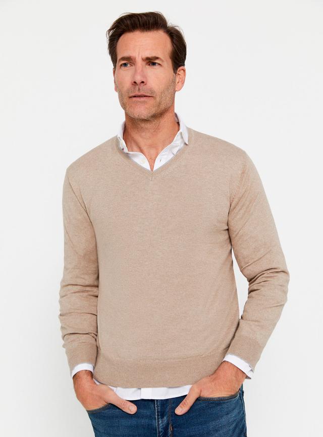 Sweater Jersey Algodón Cuello Básico